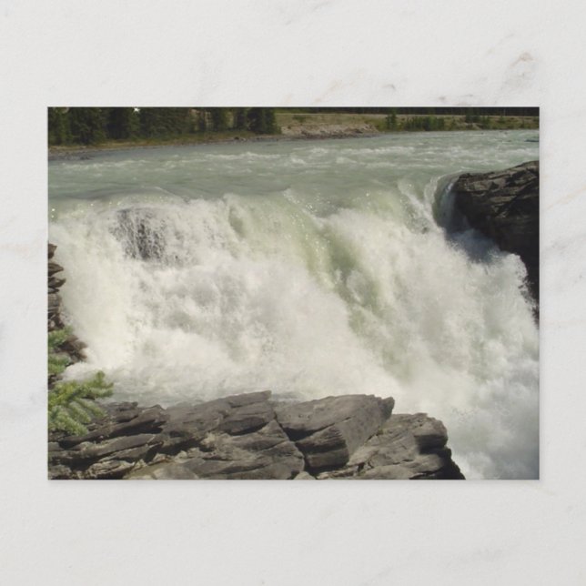 Athabasca Wasserfälle in Alberta Postkarte (Vorderseite)