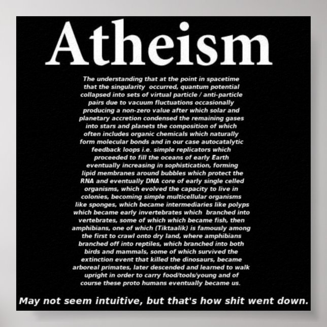 Atheism Poster (Vorne)