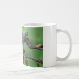 Athene noctua kaffeetasse