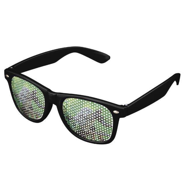 Athene noctua sonnenbrille (Schrägansicht)