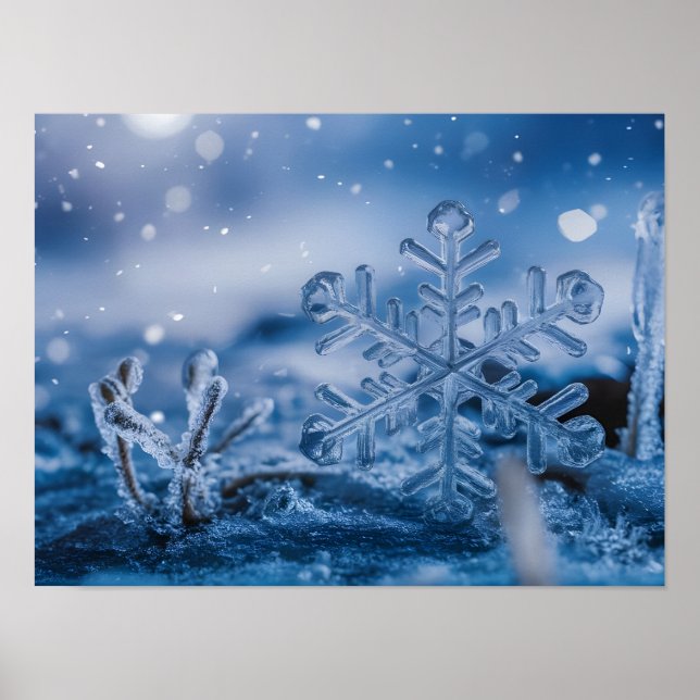 Ätherische Eiskristalle, die auf Frost fallen Poster (Vorne)