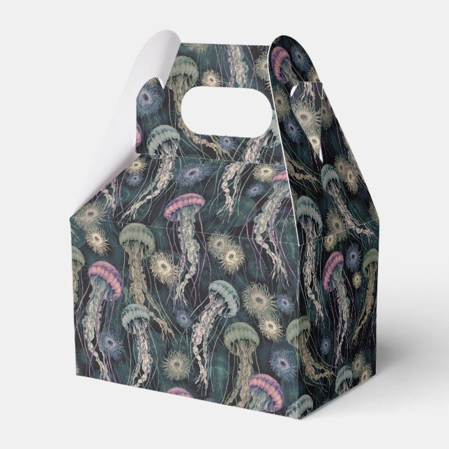 Ätherische Quallen und Anemone in Aquamarin und ro Geschenkschachtel (Vorderseite)
