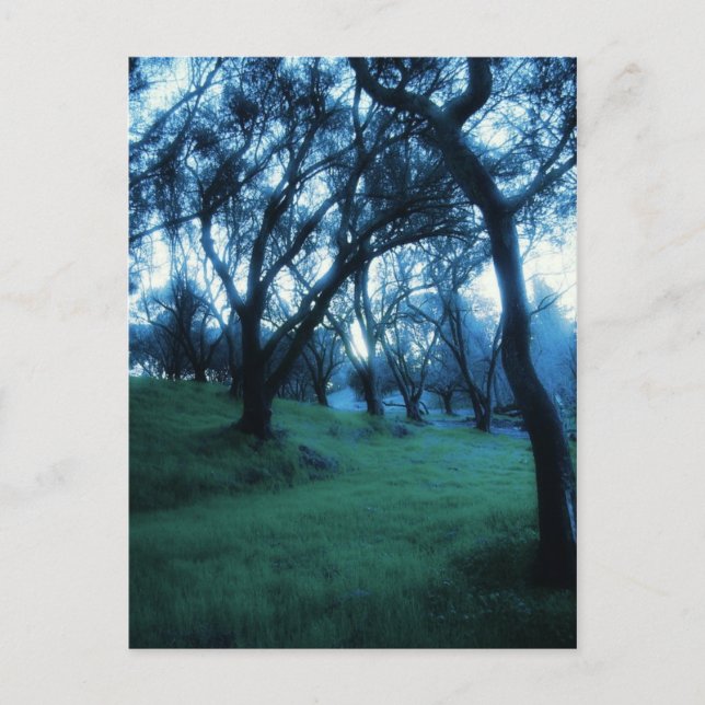 Ätherische Stunde Postkarte (Vorderseite)