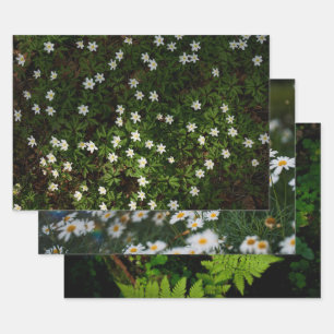 Ätherische Waldflora, Set aus 3 Kunstfotos Geschenkpapier Set