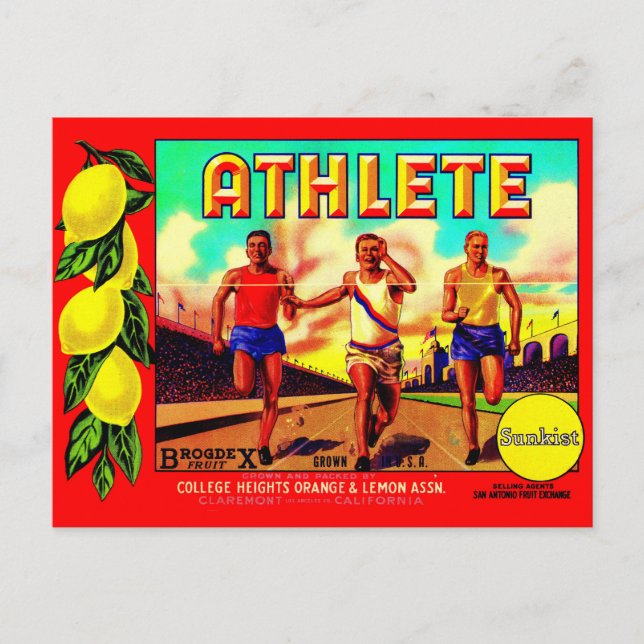 Athlete Fruchtkartett der 30er Jahre Postkarte (Vorderseite)