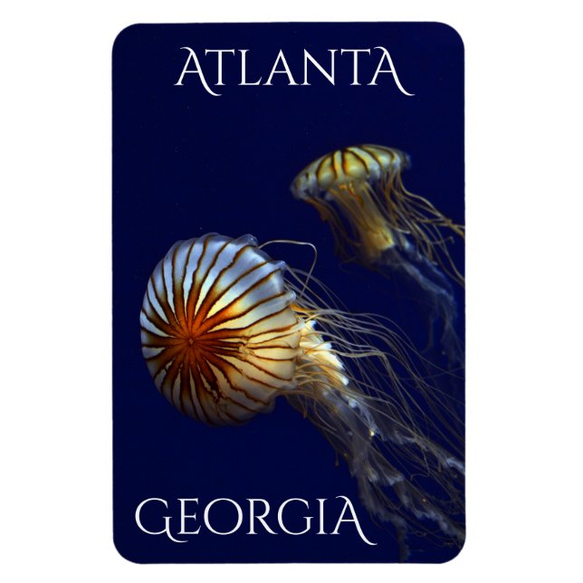 Atlanta Georgia Curious Jellyfish Magnet (Vertikal)