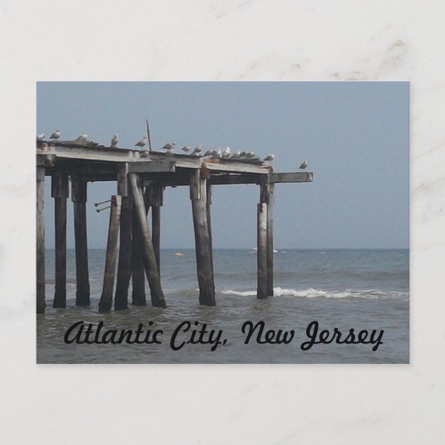 Atlantic City Beach mit Vogelschutzkarte Postkarte (Vorderseite)