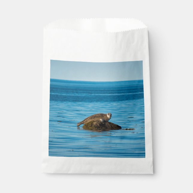 Atlantic Harbor Seal Geschenktütchen (Vorderseite)