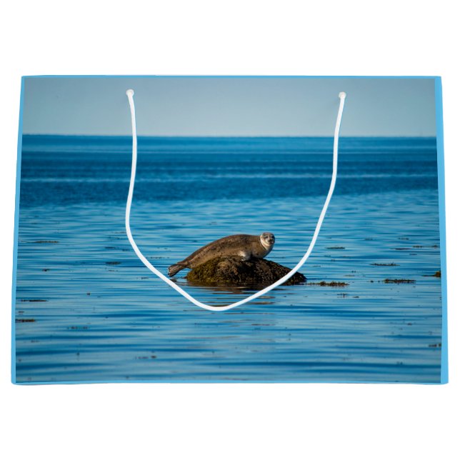Atlantic Harbor Seal Große Geschenktüte (Vorderseite)