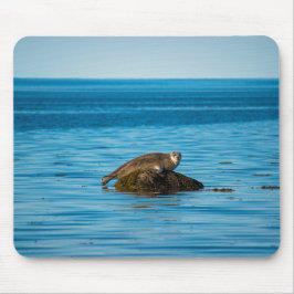 Atlantic Harbor Seal Mousepad