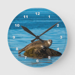 Atlantic Harbor Seal Runde Wanduhr