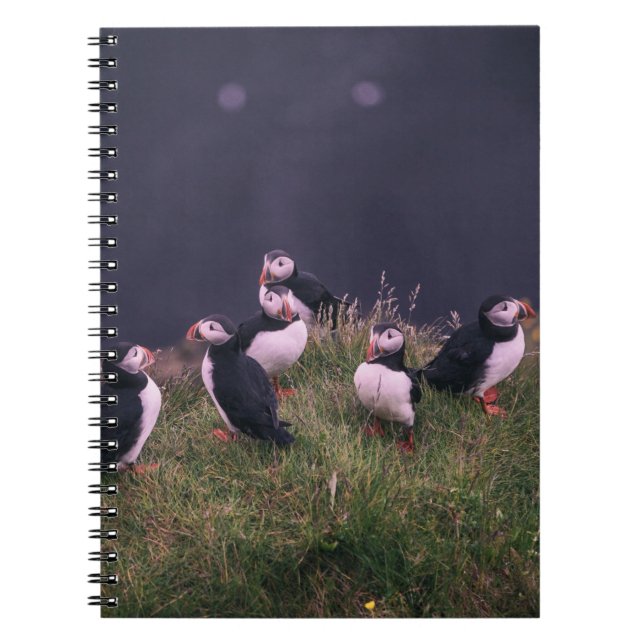 Atlantic Puffers Notebook Notizblock (Vorderseite)