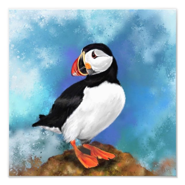 Atlantic Puffin Bird Foto Print - Malerei (Vorne)