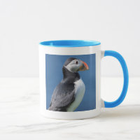 Atlantic Puffin (Fratercula Arctica) auf der Klipp