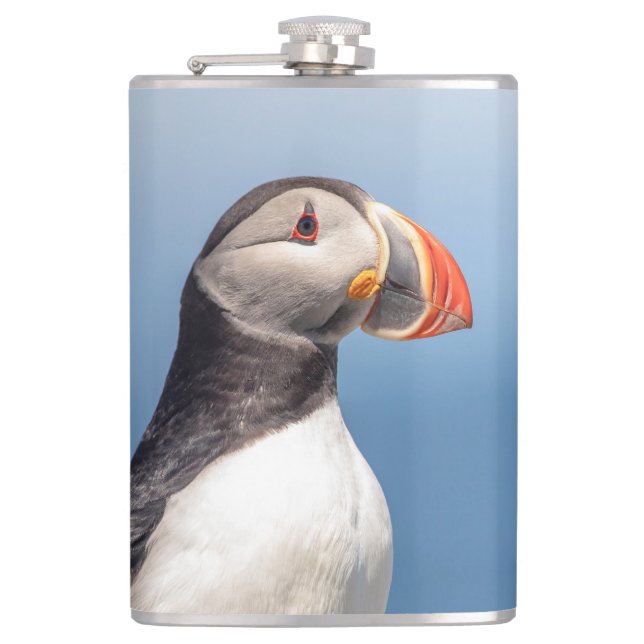 Atlantic Puffin in Machias, Maine Flachmann (Vorderseite)