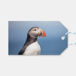 Atlantic Puffin in Machias, Maine Geschenkanhänger