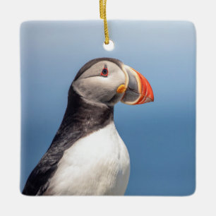 Atlantic Puffin in Machias, Maine Keramikornament