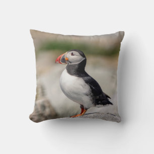 Atlantic Puffin in Machias, Maine Kissen