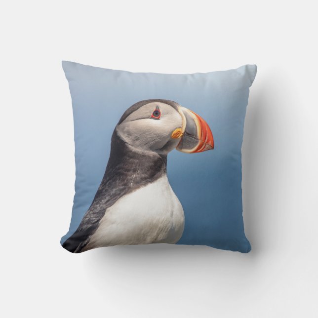 Atlantic Puffin in Machias, Maine Kissen (Vorderseite)