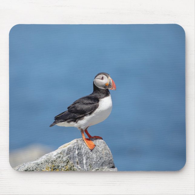 Atlantic Puffin in Machias, Maine Mousepad (Vorne)