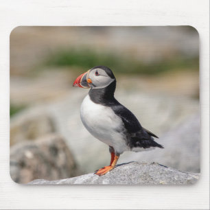 Atlantic Puffin in Machias, Maine Mousepad