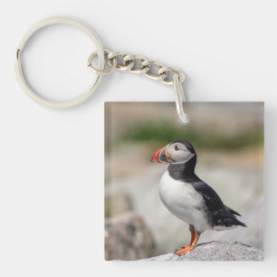 Atlantic Puffin in Machias, Maine Schlüsselanhänger