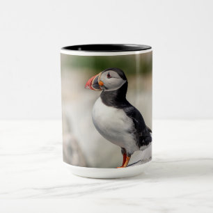 Atlantic Puffin in Machias, Maine Tasse