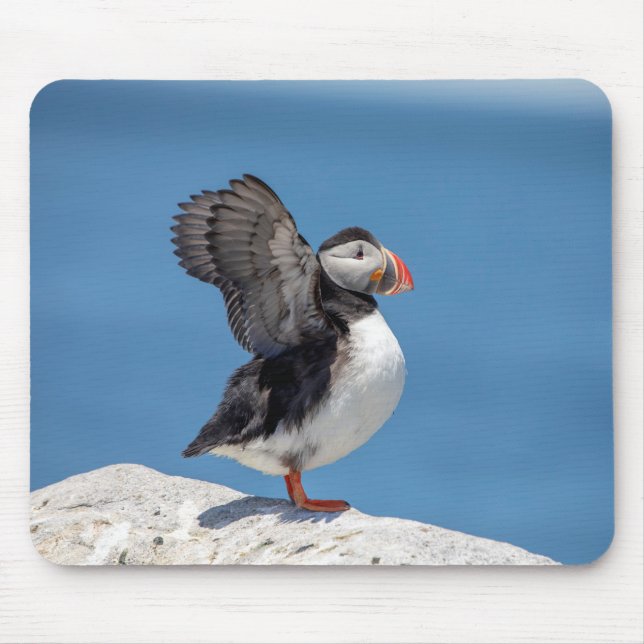 Atlantic Puffin in Machias, ME Mousepad (Vorne)