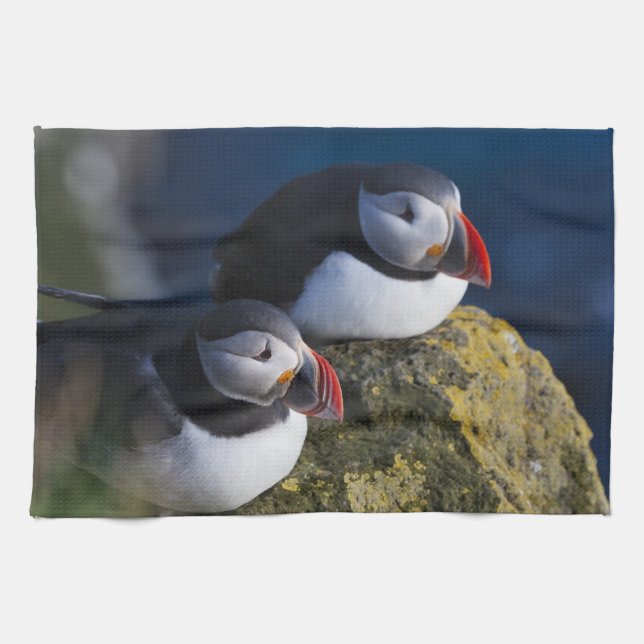 Atlantic Puffin Küchentuch (Horizontal)