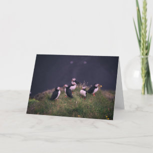 Atlantic Puffins Grußkarte Karte