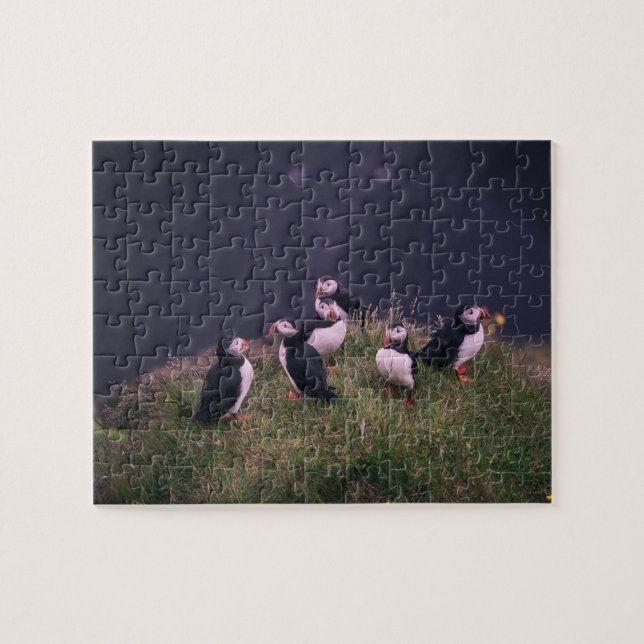 Atlantic Puffins Jigsaw Puzzle (Horizontal)