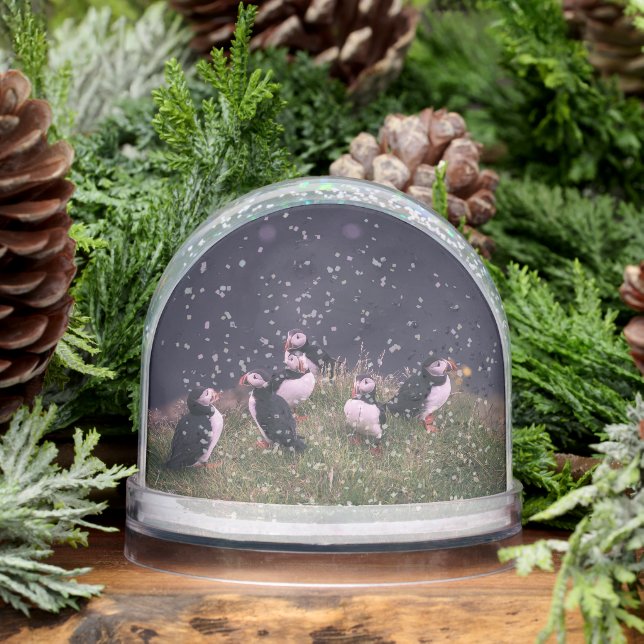 Atlantic Puffins Schneekugeln (Winter)