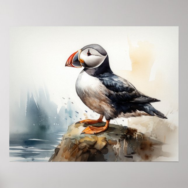 Atlantic Puffle Bird Art Print Poster (Vorne)