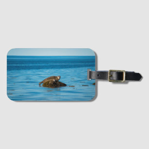 Atlantik-Haftseal Gepäckanhänger