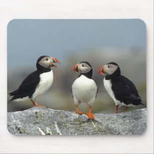 Atlantik-Papageitaucher-Gruppe Mousepad
