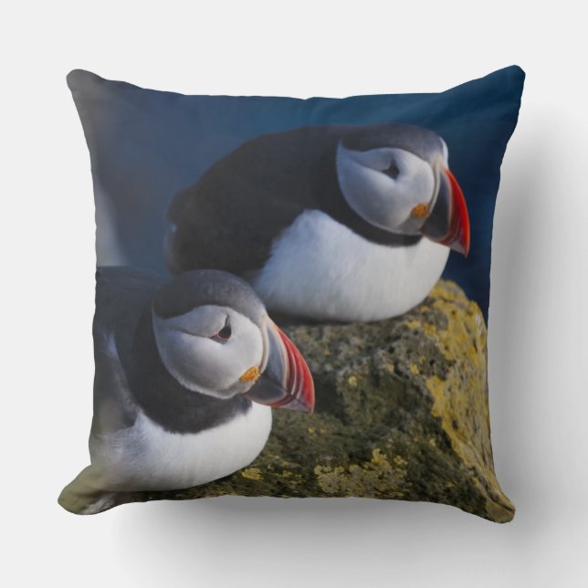 Atlantik-Puffin (Fratercula arctica) 7 Kissen (Vorderseite)