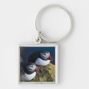 Atlantik-Puffin (Fratercula arctica) 7 Schlüsselanhänger