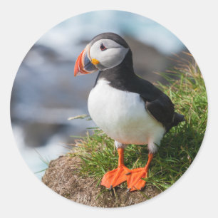 Atlantik Puffin Runder Aufkleber