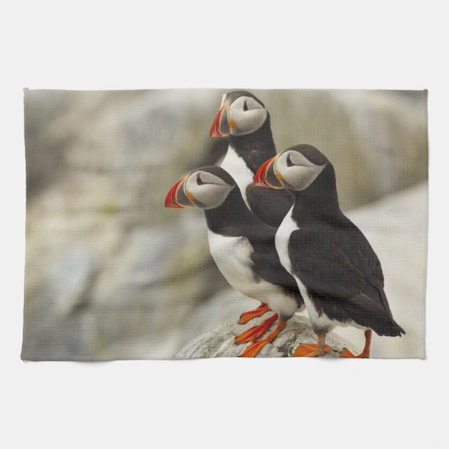 Atlantische Puffen auf der Insel Machias Siegel Handtuch (Horizontal)