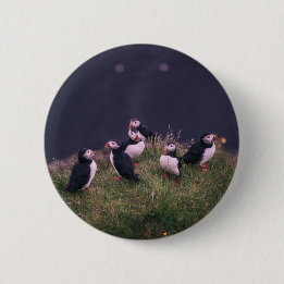 Atlantische Puffen Button