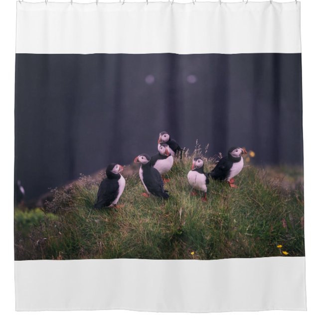 Atlantische Puffen Duschvorhang (Vorderseite)