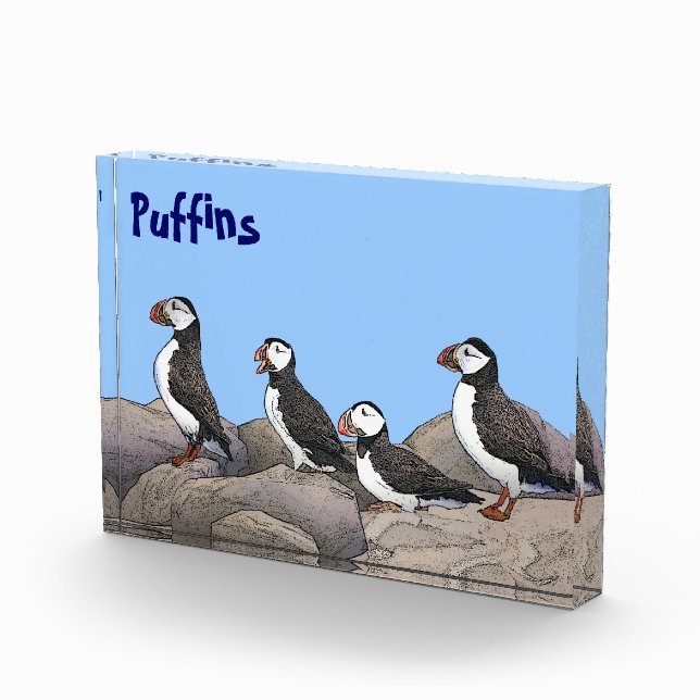 Atlantische Puffen Fotoblock (Rechts)