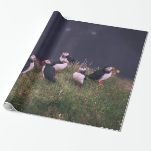 Atlantische Puffen Geschenkpapier