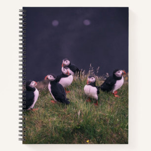 Atlantische Puffen Notizbuch