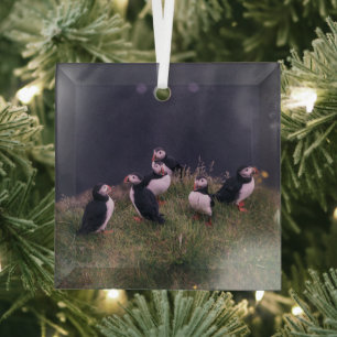 Atlantische Puffen Ornament Aus Glas