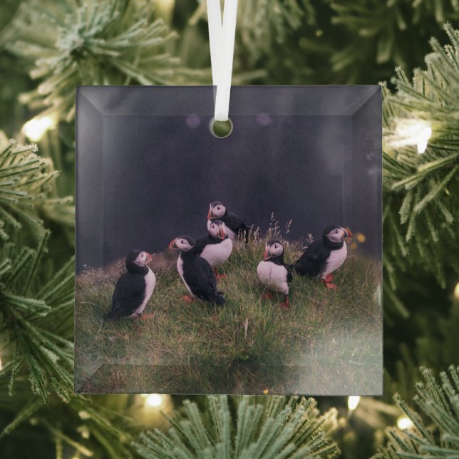 Atlantische Puffen Ornament Aus Glas (Insitu)