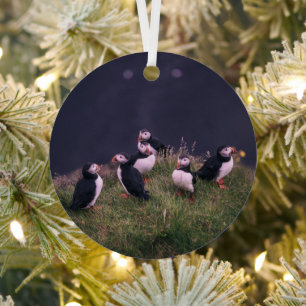 Atlantische Puffen Ornament Aus Metall