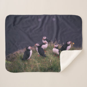 Atlantische Puffen Sherpadecke