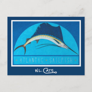 Atlantische Seefische Postkarten