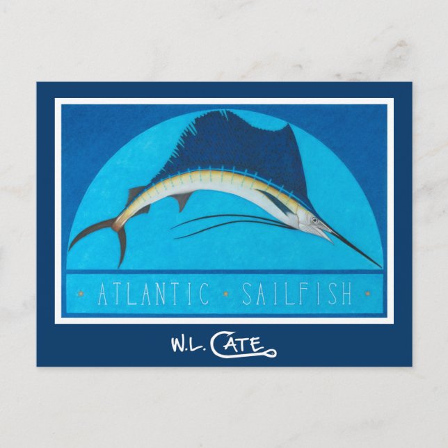 Atlantische Seefische Postkarten (Vorderseite)